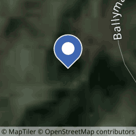 Satellite view at 53.21289, -6.15845